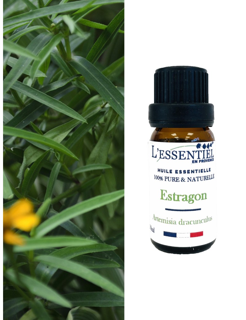 Huile essentielle Estragon HECT – Puressence Aroma