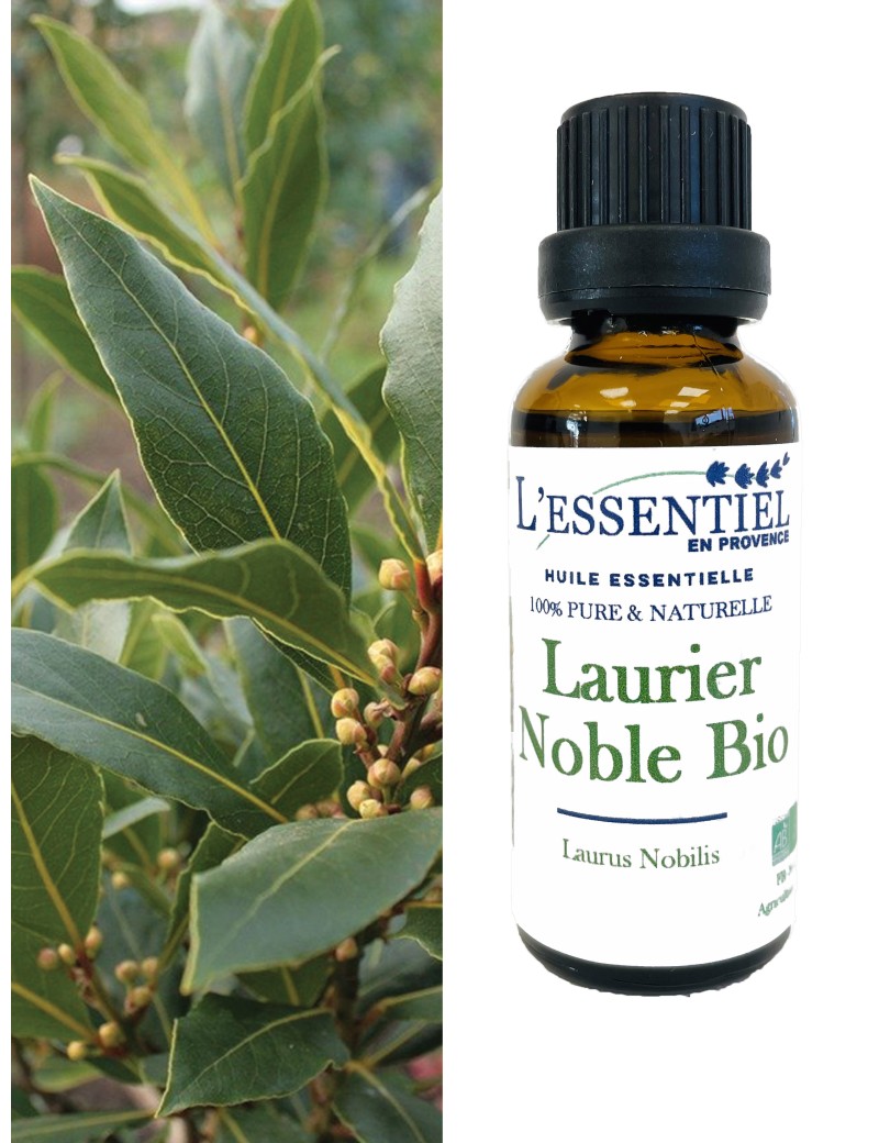 Laurier noble – Huile essentielle bio - 10 ml - Distillerie Bel Air