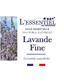 Huile essentielle de Lavande fine de Provence : propriétés et